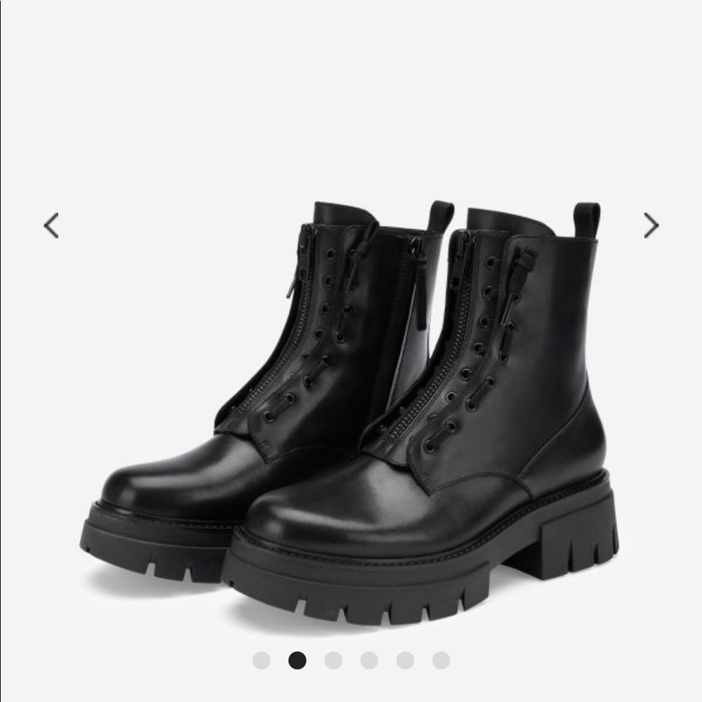ASH Lynch boots